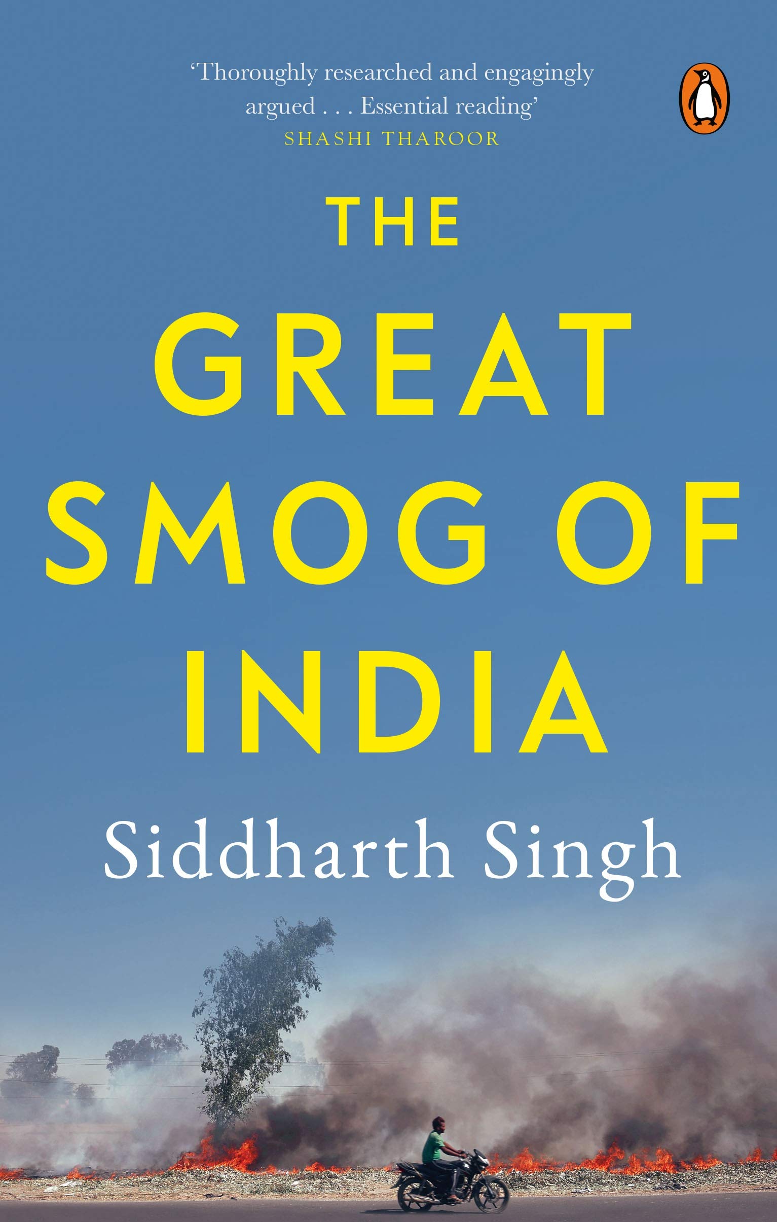 The Great Smog of India