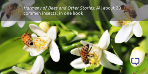 harmony of bees by ranjit lal