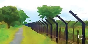 review of an Unfinished Search