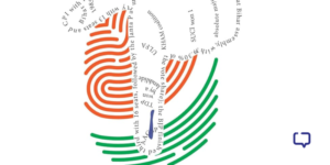 Chambers Book of Indian Election Facts by Kingshuk Chatterjee and Surbek Biswas