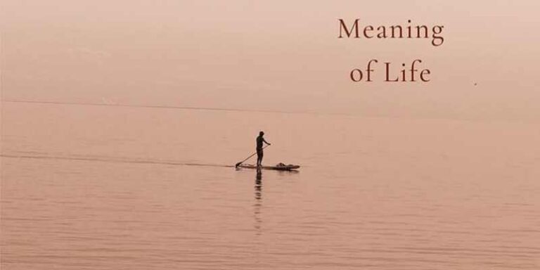 book review of indian english book lorenzo searches for the meaning of life