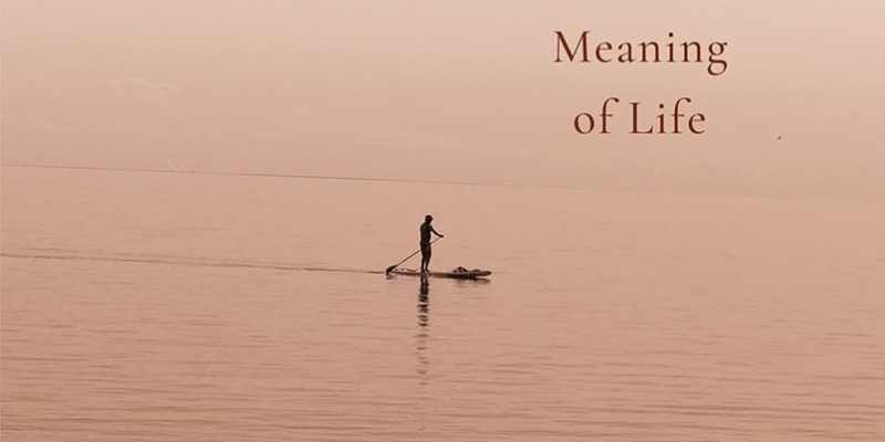 book review of indian english book lorenzo searches for the meaning of life