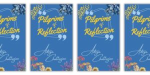 cover of short story collection pilgrims of reflection